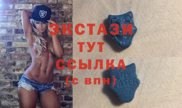 крисы Армянск