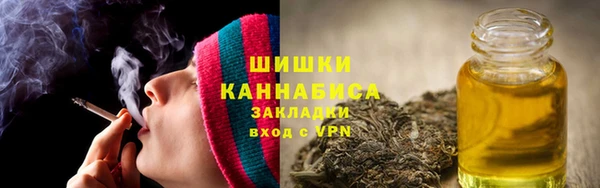 тгк Арсеньев