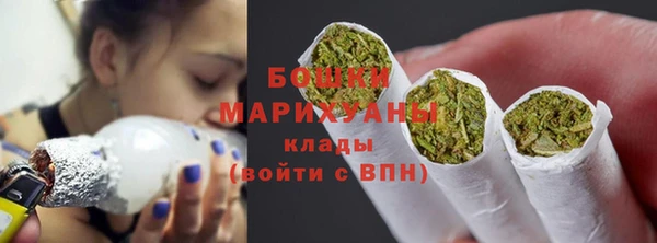 крисы Армянск