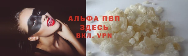 твердый Аркадак