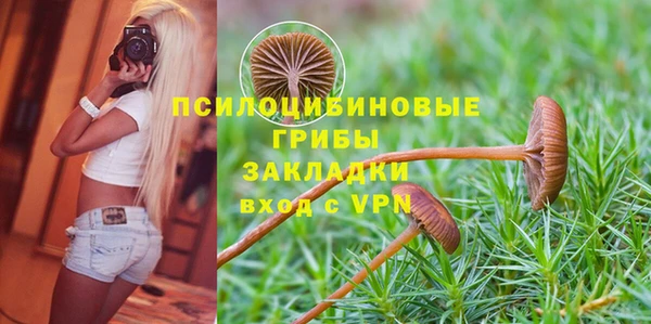 твердый Аркадак
