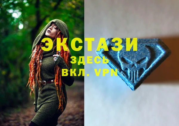 крисы Армянск