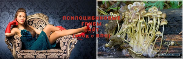 твердый Аркадак