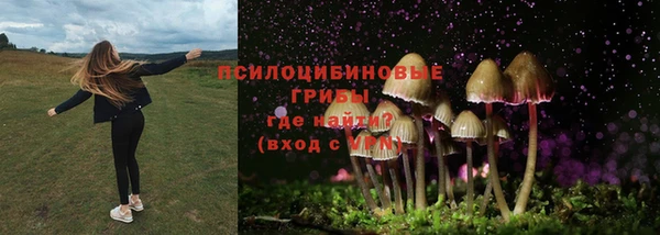 твердый Аркадак